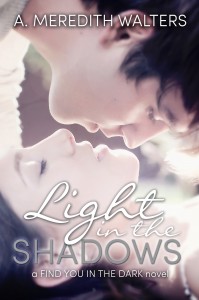 LIGHT IN THE SHADOWS front