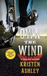 Own The Wind2