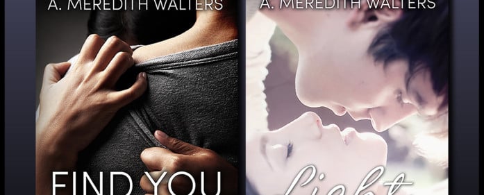 Find You In The Dark series by A. Meredith Walters