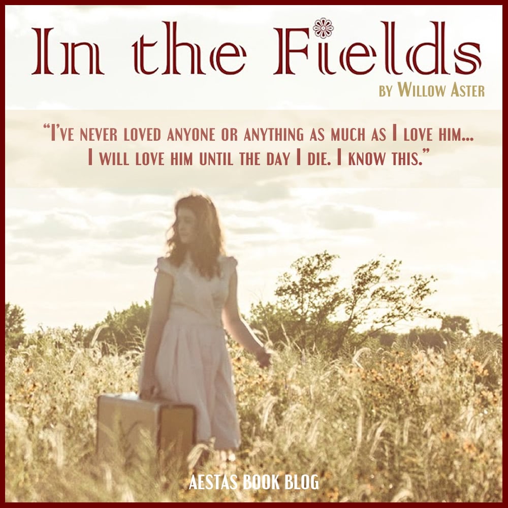 IN THE FIELDS PROMO2