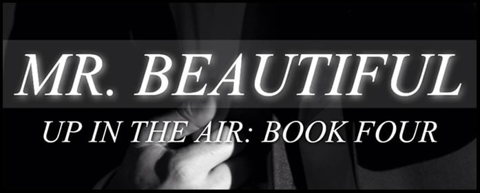 COVER REVEAL & TEASER — MR. BEAUTIFUL by RK Lilley