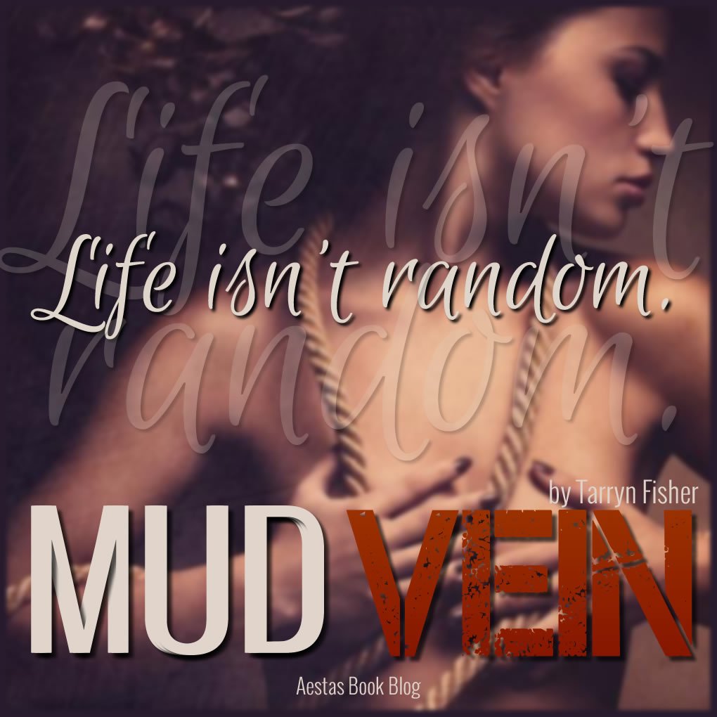 MUD VEIN PROMO2