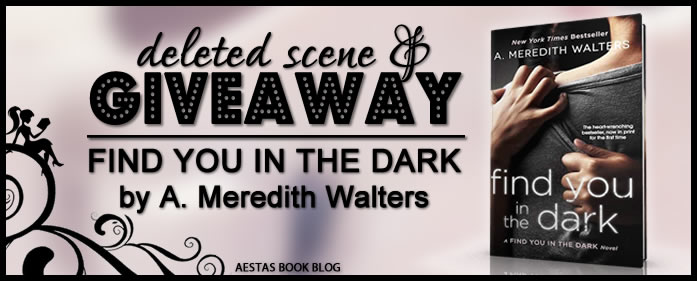 SIGNED GIVEAWAY & DELETED SCENE — FIND YOU IN THE DARK by A. Meredith Walters