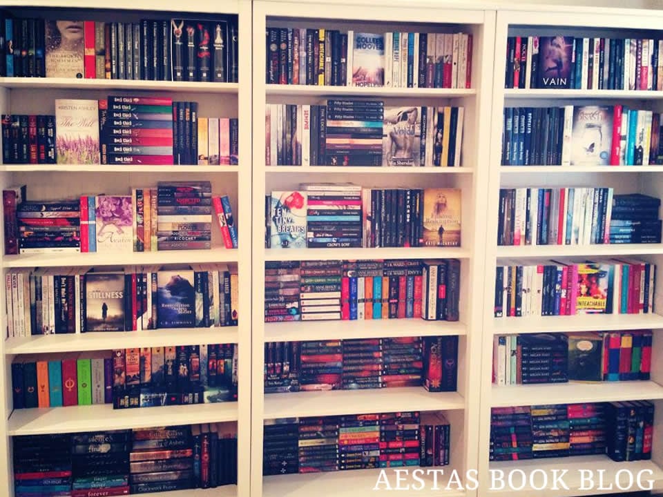 AESTAS BOOK BLOG BOOKSHELF 2014