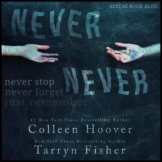 NEVER NEVER colleen hoover tarryn fisher