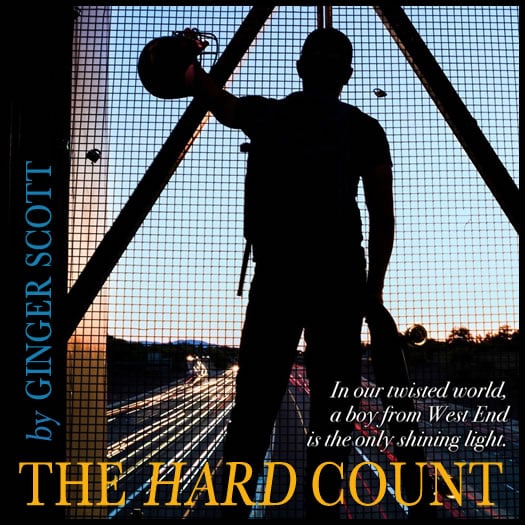 THE HARD COUNT promo